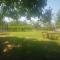 CycloCamp & Hostel