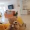 Centrico Loft en Andorra la Vella con 2 Parkings HUT 5372 - 安道尔城