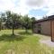 Welcoming chalet with roofed terrace - Blesdijke