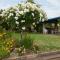 Orana Windmill Motel
