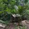 soha bungalow-escape the city