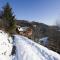 Pool & Wellness Chalet Sunshine - Happy Rentals
