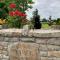 Inny River Lodge