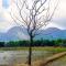 Santhoshinte Farm stay Kollengode - Kollengode