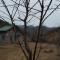 Green Valley Tusrebi