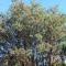 Torquay Terrace Bed & Breakfast