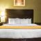Comfort Inn Whitehall near Michigans Adventure