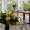 Nissi Beach Resort