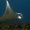Suffix Retreat - Stay, Dive & Explore Fuvahmulah