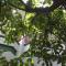 Herin Green House