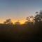 Follow The Sun