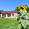 Eco Art House