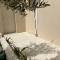 Green Coast Palase 241