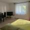 Apartment Anić