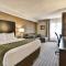 Comfort Inn - Windsor