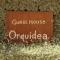 Guest House Orquidea