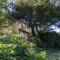 Au pied de la Sainte Baume