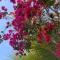 Moreiras paradise