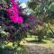 Best Camping Tours Campsite