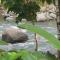 Macaw Villa - Riverfront With A Pool