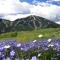 Baldy View Home - Ketchum