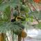 La Rana Deluxe Villa - Riverfront With A Pool - Uvita
