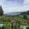 Villa Highland No 9 Berastagi View Villa Highland No 9 Berastagi View