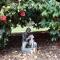 Riverwood Cottage, accessible accommodation