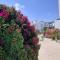 Summer Bliss Apartment Peyia