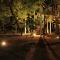 Yala Eco Tree House New