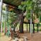 Yala Eco Tree House New
