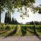 Agriturismo Tra gli Ulivi, Chiappini Winery