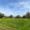 Little Dolwen - Sioned - Llanwenog