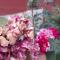 Chitral Green Guest House - Chitral
