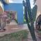 Serenity Home Hospedaje con confort y seguridad