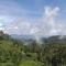 Ella Zenith View