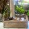 Shady Grove Healing Centre & Homestay w house rules please read before booking