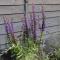 Tranquil Little Hide-Away in Oxford with Private Garden