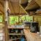 Bauhinia-