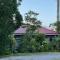 Bauhinia-