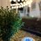 Casa Solar Boutique Eco-Hotel Confort Suite
