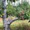 Berkshire Vacation Home in Lee - Pool is Open! - لي