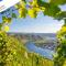 Wohlfühloase an der Mosel - Osann-Monzel