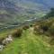 Colleen Bawn Cottage Gap Of Dunloe Kerry