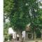 Charmante maison historique avec jardin à Vadelaincourt - Charme, cheminée, et sérénité - FR-1-585-67