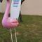 Hébergement Insolite VintageCAMP - proche de Beauval