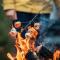 Glenlivet by Wigwam Holidays - 托明陶尔