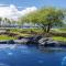 Hilton Pool Pass Included, Kolea - Stylish & Comfy Walk to Beach Patio Pool Gym