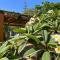 MarketHome Ecolodge Plataneras