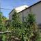 Resort Il Gallo Senone